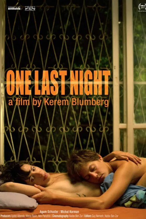 Poster do filme One Last Night
