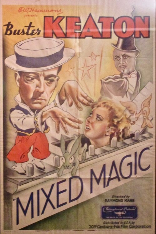 Mixed Magic movie poster
