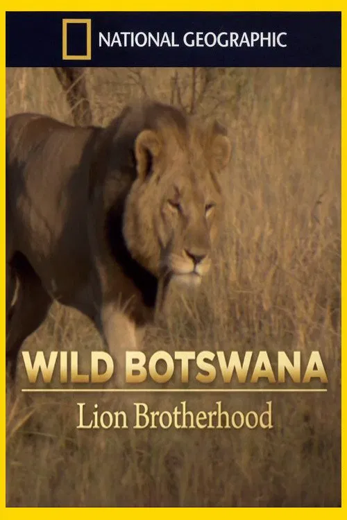 Lion Brotherhood movie poster