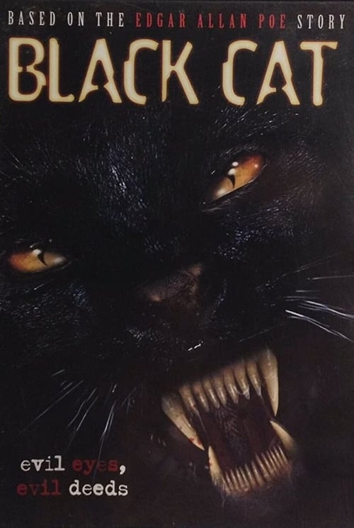Black Cat movie poster