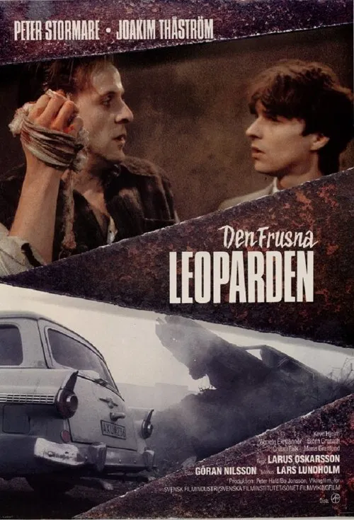 Poster do filme The Frozen Leopard
