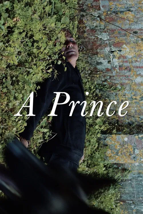 A Prince movie poster