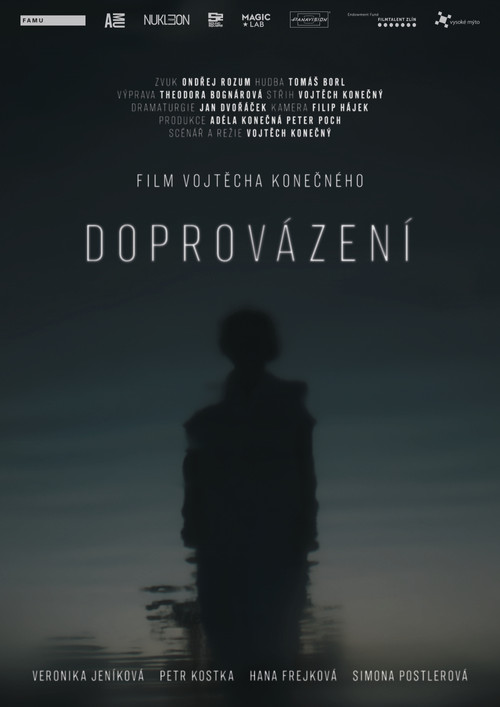 Doprovázení movie poster