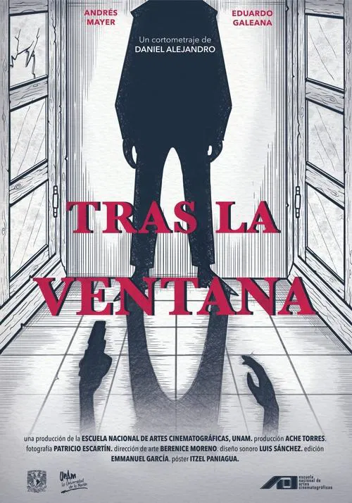 Through the Window movie poster