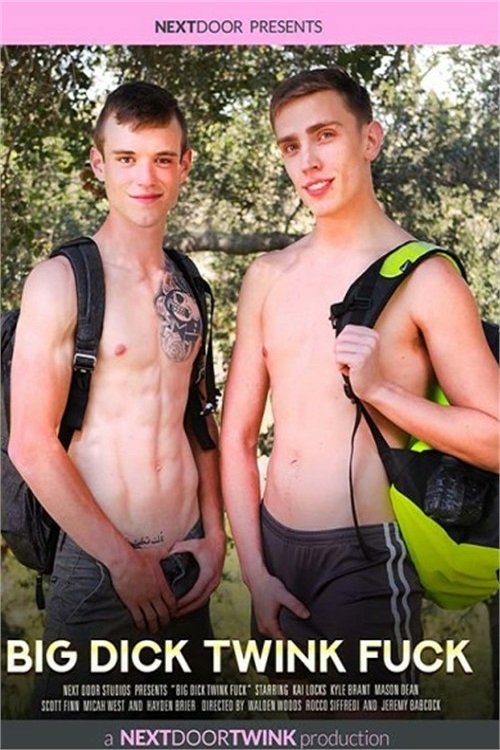 Big Dick Twink Fuck movie poster