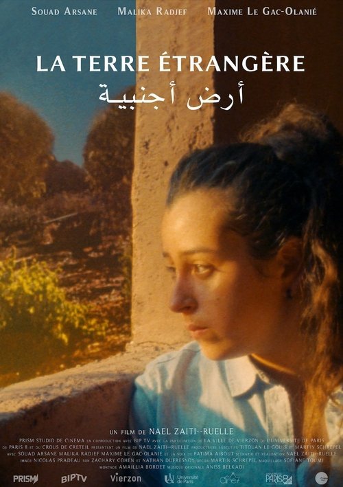 The foreign land movie poster