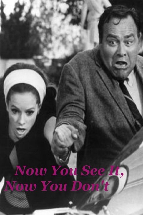 Now You See It, Now You Don't movie poster