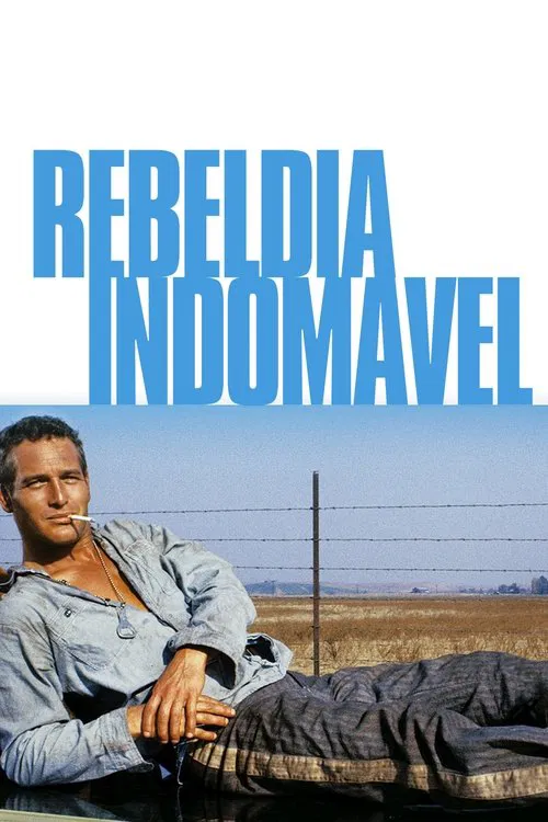Poster do filme Rebeldia Indomável