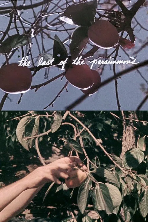 The Last of the Persimmons movie poster