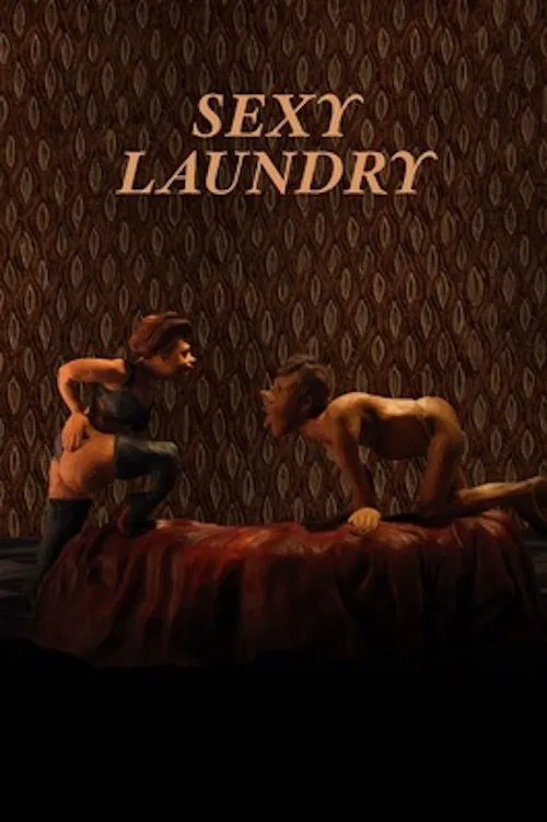 Poster do filme Sexy Laundry