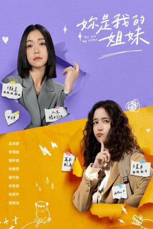 You Are My Sister tv show poster