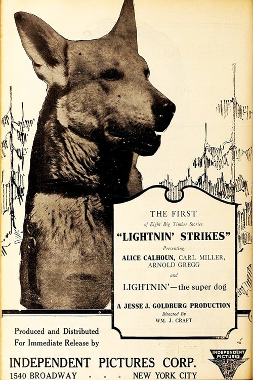 Lightnin' Strikes movie poster