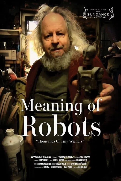Poster do filme Meaning of Robots