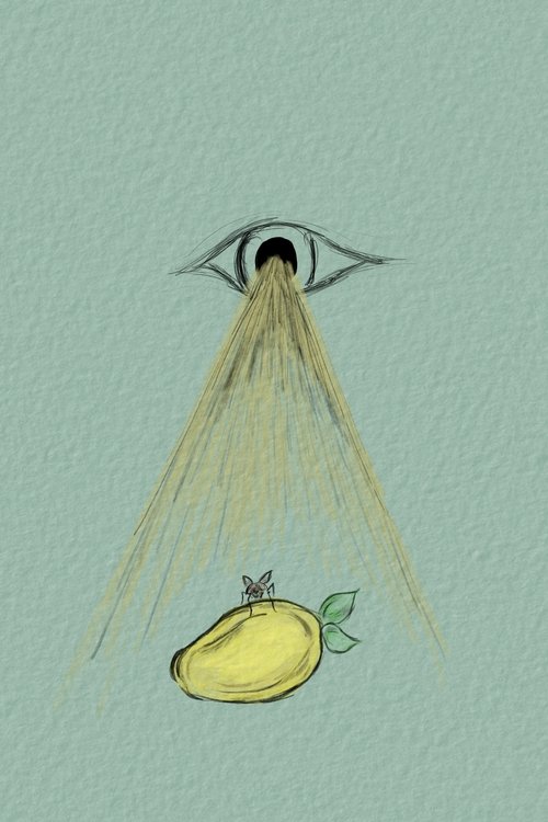 To Be A Fly On Your Mango movie poster