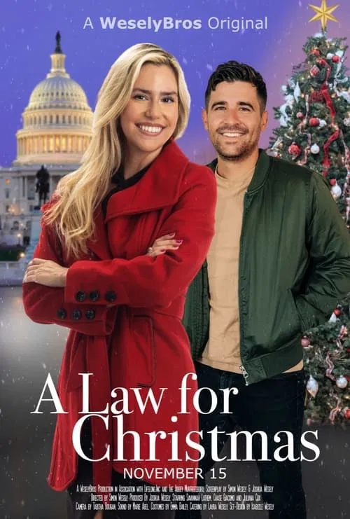 Poster do filme A Law for Christmas