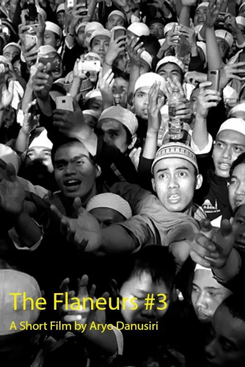 The Flaneurs #3 movie poster
