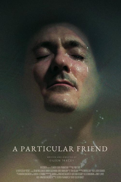 A Particular Friend movie poster