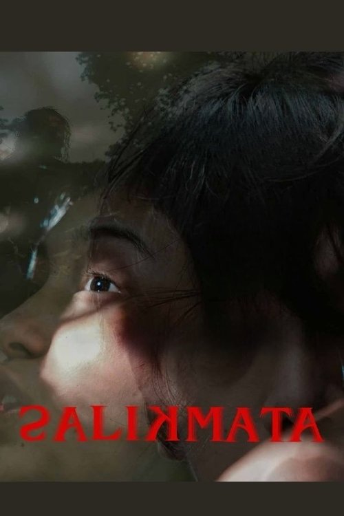 Poster do filme Unseen