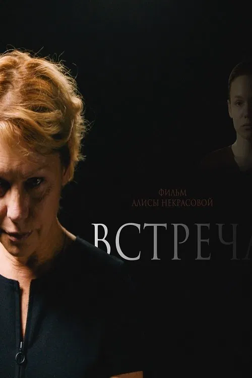 Встреча movie poster