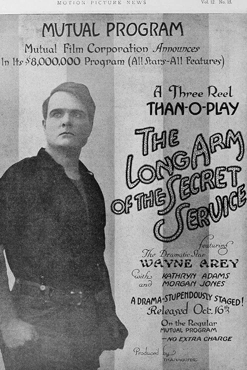 The Long Arm of the Secret Service movie poster