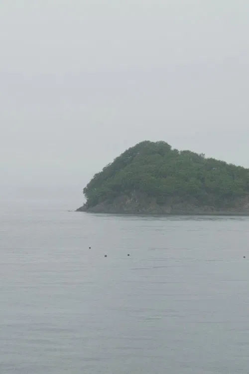 Poster do filme Thousands of Years of Absence