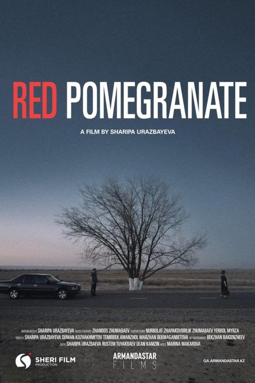 Red Pomegranate movie poster