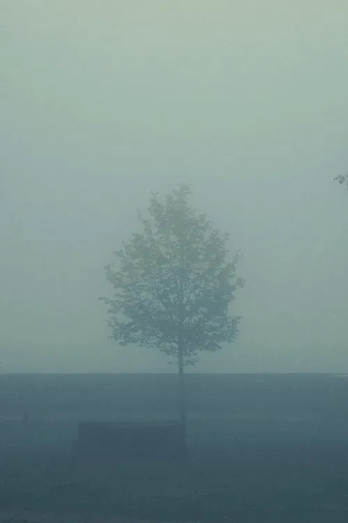 Poster do filme Great Are the Eyes of a Dead Father