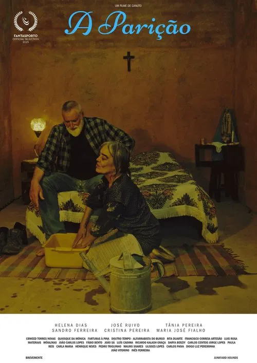 Poster do filme The Apparition