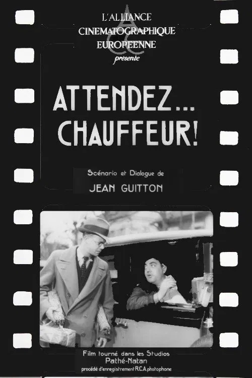 Attendez... chauffeur! movie poster