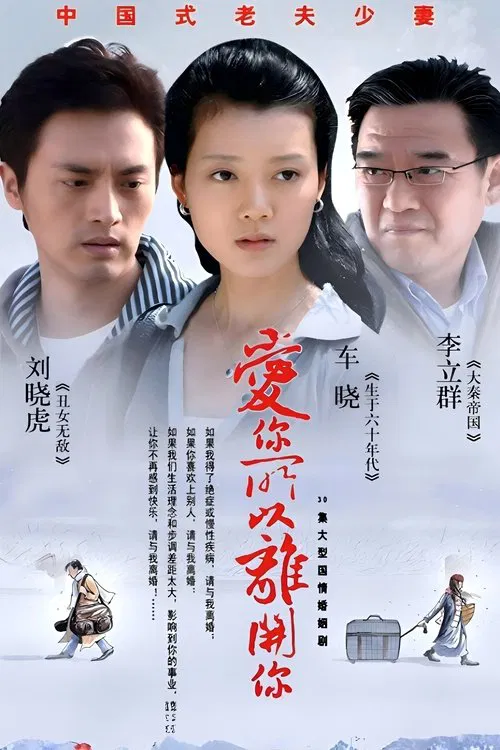 爱你所以离开你 tv show poster