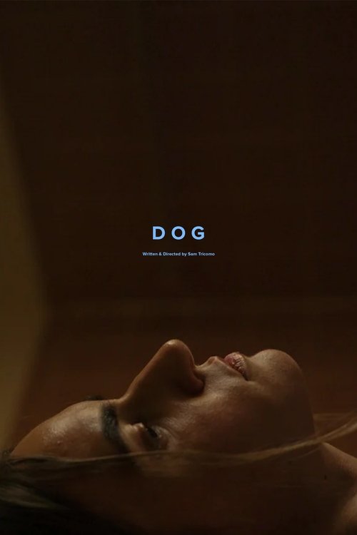 Dog movie poster