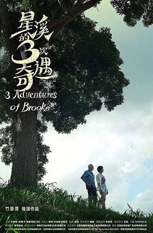 Three Adventures of Brooke movie poster