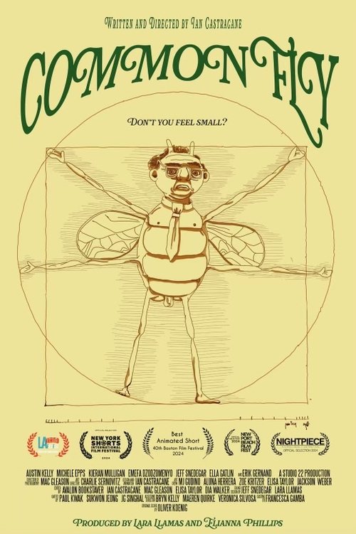 Common Fly movie poster