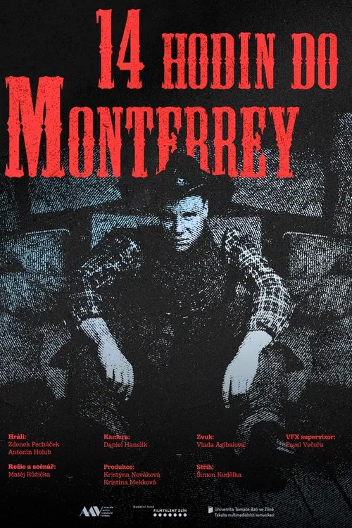 14 hodin do Monterrey movie poster