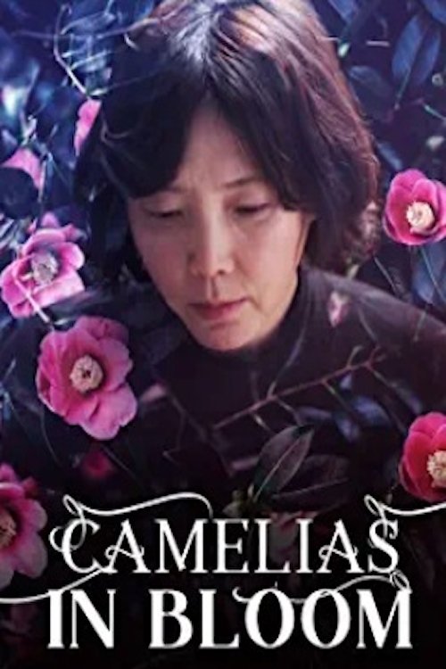 Camellias in Bloom movie poster