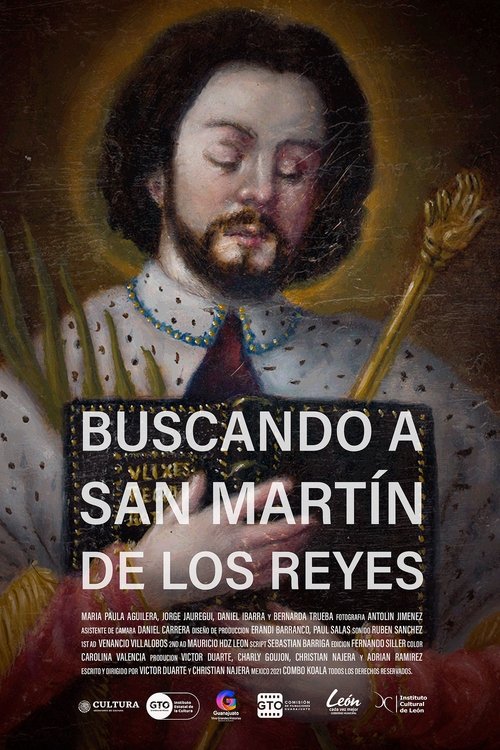 Looking for San Martín de los Reyes movie poster