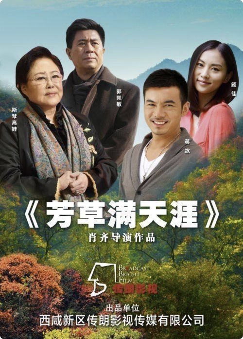 Poster do filme 芳草满天涯