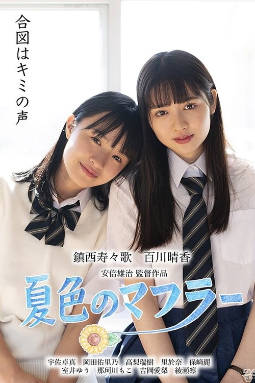 Poster do filme Summer Colored Winter Scarf