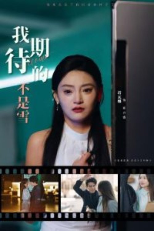 我期待的不是雪 tv show poster