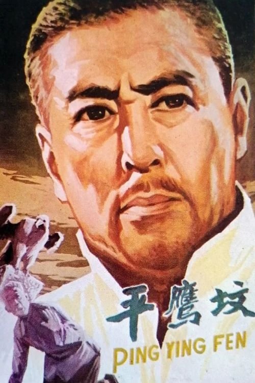 平鹰坟 movie poster