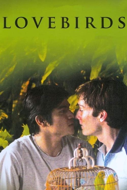 Lovebirds movie poster