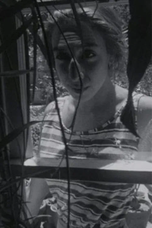 Amy Halpern profile picture