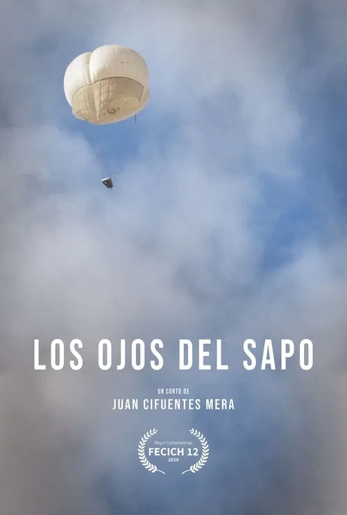 Poster do filme Los Ojos del Sapo