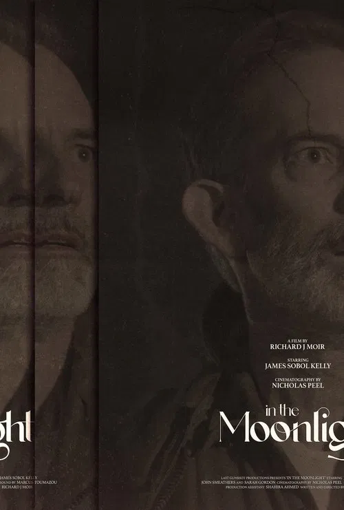 In The Moonlight movie poster