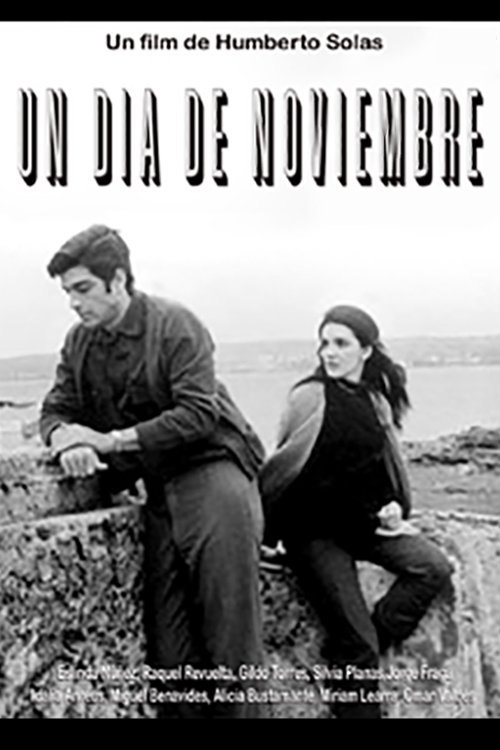 One Day in November movie poster