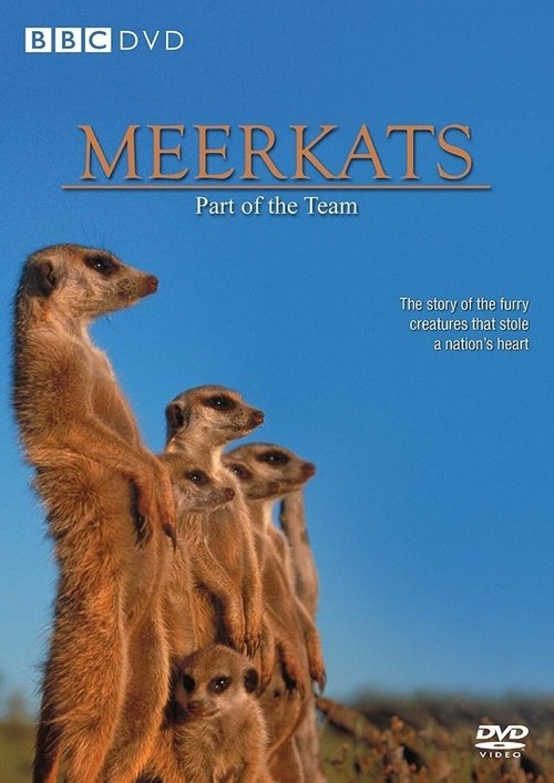 Meerkats: Part of the Team movie poster