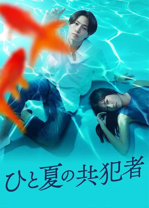 A Summer's Accomplice tv show poster