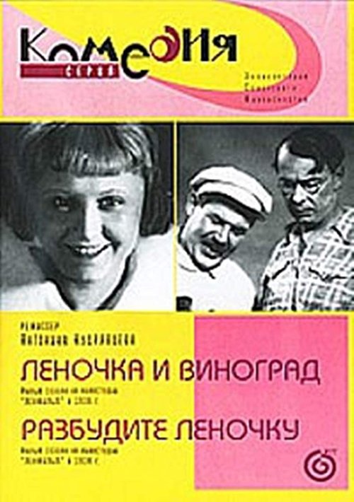 Wake Lena Up movie poster