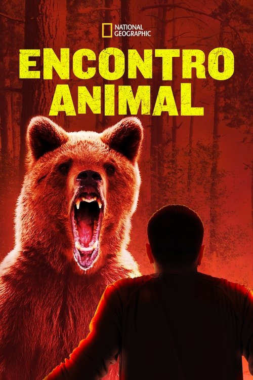 Poster da série Encontro Animal