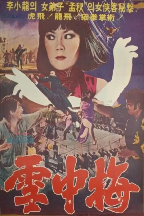 Snow Plum Blossom movie poster
